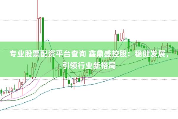 專業股票配資平臺查詢 鑫鼎盛控股：穩健發展，引領行業新格局