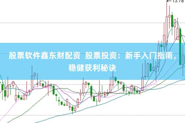 股票軟件鑫東財配資  股票投資：新手入門指南，穩健獲利秘訣