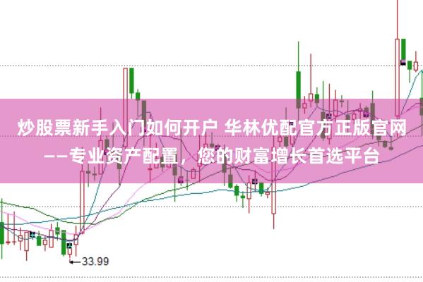 炒股票新手入門如何開戶 華林優配官方正版官網——專業資產配置，您的財富增長首選平臺