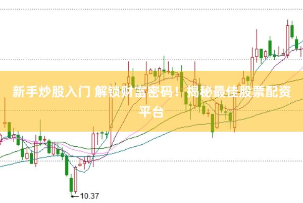 新手炒股入門 解鎖財(cái)富密碼！揭秘最佳股票配資平臺(tái)