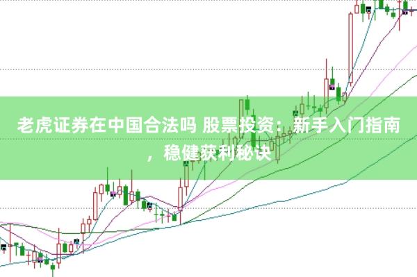 老虎證券在中國合法嗎 股票投資：新手入門指南，穩(wěn)健獲利秘訣