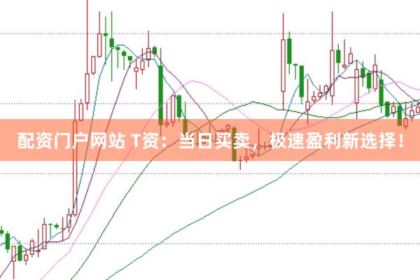 配資門戶網站 T資：當日買賣，極速盈利新選擇！