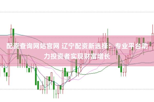 配資查詢網(wǎng)站官網(wǎng) 遼寧配資新選擇：專業(yè)平臺(tái)助力投資者實(shí)現(xiàn)財(cái)富增長