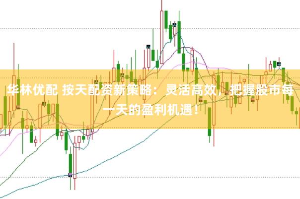 華林優配 按天配資新策略：靈活高效，把握股市每一天的盈利機遇！