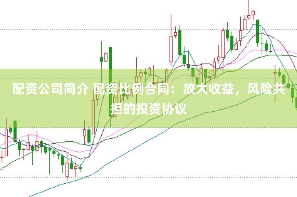 配資公司簡介 配資比例合同：放大收益，風險共擔的投資協議