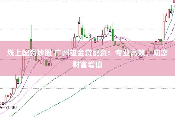 線上配資炒股 廣州雄金貸配資：專業高效，助您財富增值