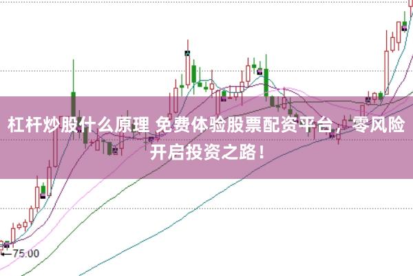 杠桿炒股什么原理 免費體驗股票配資平臺，零風險開啟投資之路！